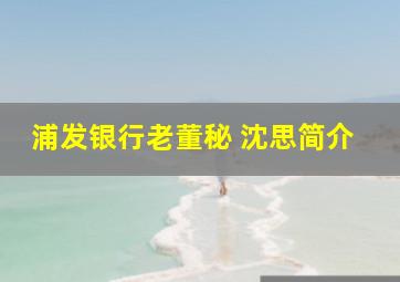 浦发银行老董秘 沈思简介